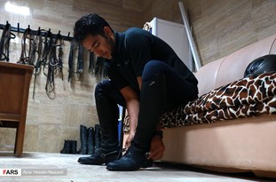 مادیون نیوز