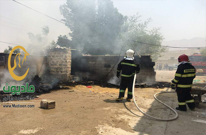 مادیون نیوز_نجات ۱۱ اسب باشگاه سوارکاری کنگان از آتش‌سوزی