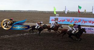 هفته هفتم کورس سوارکاری آق قلا برگزارشد