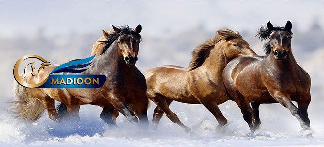 سومین شو سواره اسب در انار برگزار می‌شود