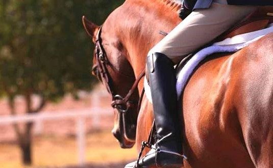 اطلاعیه مهم مرتبط با کمیته ی هنرهای رزمی فدراسیون سوارکاری