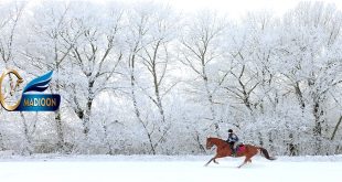 4 هدف کلی برای شما و اسبتان در تعطیلات کریسمس