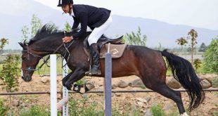 ناشناحته بودن ورزش سوارکاری در قم