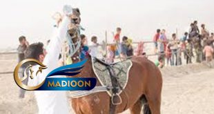 مادیون مرجع اخبار سوارکاری
