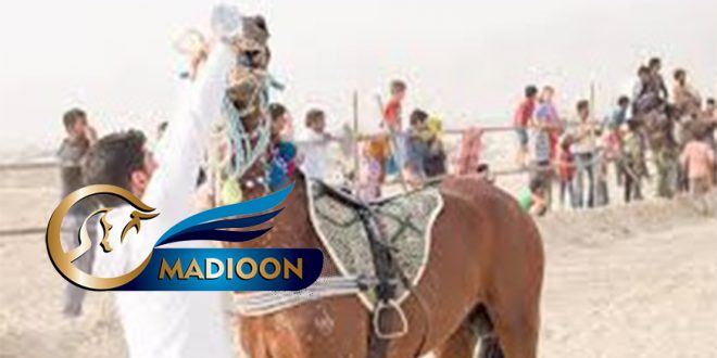 مادیون مرجع اخبار سوارکاری