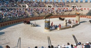 مادیون مرجع اخبار سوارکاری