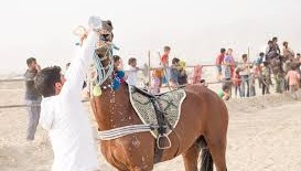 مادیون مرجع اخبار سوارکاری