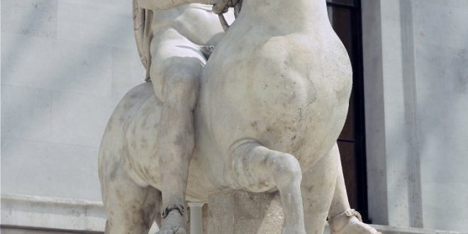 مادیون مرجع اخبار سوارکاری
