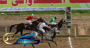 مادیون مرجع اخبار سوارکاری