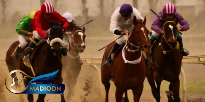مادیون مرجع اخبار سوارکاری