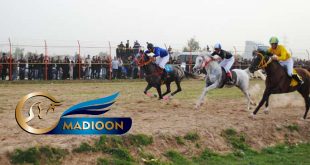 مادیون مرجع اخبار سوارکاری