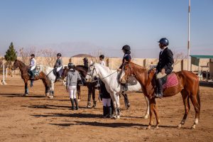 گزارش تصویری از دوازدهمین مسابقه پرش با اسب هیئت سوارکاری استان یزد