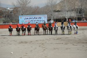 مادیون مرجع اخبار سوارکاری