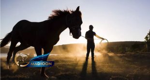 مادیون مرجع اخبار سوارکاری