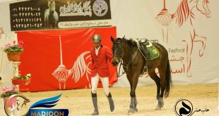 مادیون مرجع اخبار سوارکاری