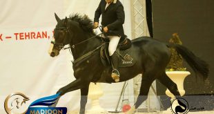 مادیون مرجع اخبار سوارکاری