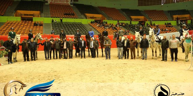 مادیون مرجع اخبار سوارکاری