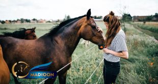 مادیون مرجع اخبار سوارکاری