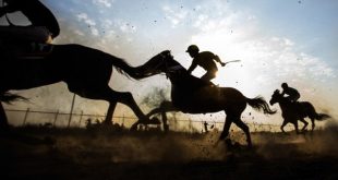 مادیون مرجع اخبار سوارکاری