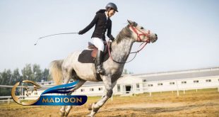 مادیون مرجع اخبار سوارکاری