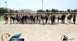 مادیون مرجع اخبار سوارکاری