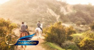 مادیون مرجع اخبار سوارکاری