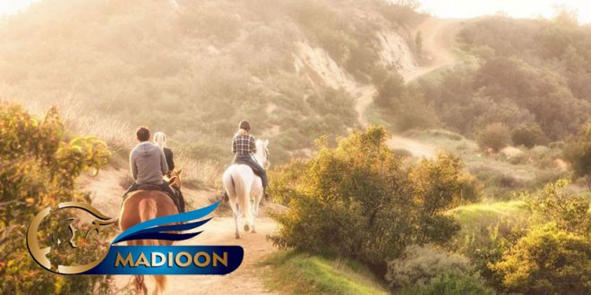 مادیون مرجع اخبار سوارکاری