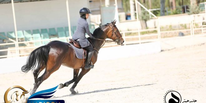 مادیون مرجع اخبار سوارکاری