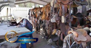 مادیون مرجع اخبار سوارکاری