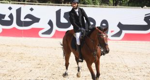 مادیون مرجع اخبار سوارکاری