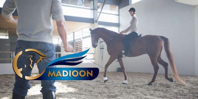 مادیون مرجع اخبار سوارکاری