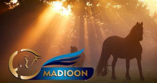 مادیون مرجع اخبار سوارکاری