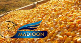 مادیون مرجع اخبار سوارکاری