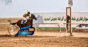 مادیون مرجع اخبار سوارکاری