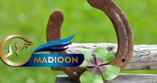 مادیون مرجع اخبار سوارکاری
