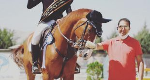مادیون مرجع اخبار سوارکاری