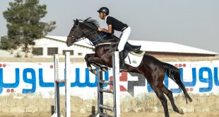 مادیون مرجع اخبار سوارکاری