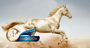 مادیون مرجع اخبار سوارکاری